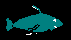 FISHB1B.BMP