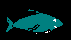 FISHB1A.BMP