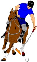 POLOPLYR.BMP