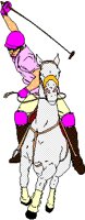POLO.BMP