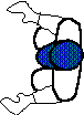 CRIKET9.BMP