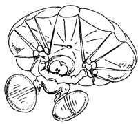PARA03.PCX