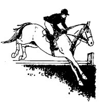 HORSE05.PCX