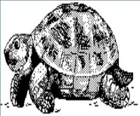 TURTLE.WPG