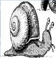 SNAIL.WPG