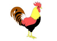 ROOSTER.WPG