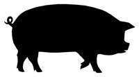 PIG07.WPG