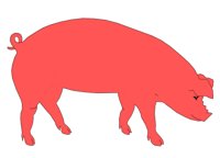 PIG02.WPG