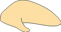 FDDNK081.WMF