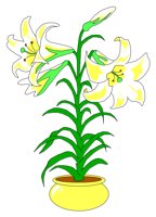 LILY.WPG