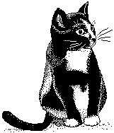 KATZE.WPG
