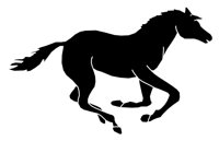 GALOPP.WPG