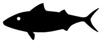 FISH04.WPG
