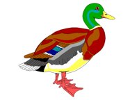 DUCK02.WPG