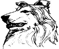 COLLIE.WPG