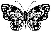 BUTTRFLY.WPG