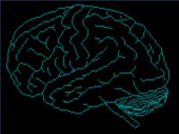 BRAIN.WPG