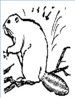 BEAVER.WPG