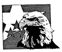 USAEAGLE.BMP
