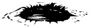 TCMICG13.BMP