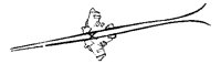 SPSKRG10.BMP