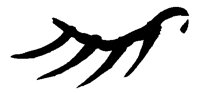 PEMISG04.BMP