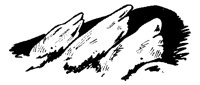 NALNCG29.BMP