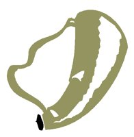 GRMISM21.BMP
