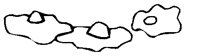 FDVGCA02.BMP