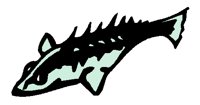 ANWARG11.BMP