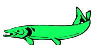 ANWARG01.BMP