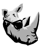 ANLNSR20.BMP