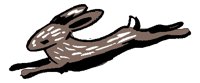 ANLNSR08.BMP