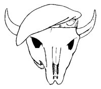 ANLNSM44.BMP