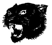 ANLNSM37.BMP