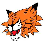 ANLNSM01.BMP