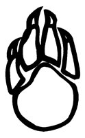ANLNCA27.BMP