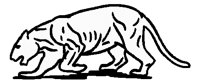 ANLNCA15.BMP