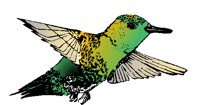 ANAIRR00.BMP