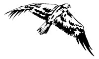 ANAIRL01.BMP