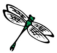 ANAIRG07.BMP