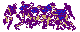 SPFBSA07.BMP
