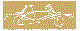 SPBIRG04.BMP