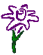 PLODSR05.BMP
