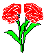 PLODSM07.BMP