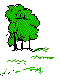 PLODSL12.BMP