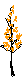 PLODSA29.BMP