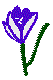 PLODSA21.BMP