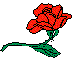 PLODSA19.BMP
