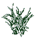 PLODSA14.BMP